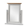 Lundy Dressing Mirror - Grey Painted