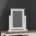 Lundy Dressing Mirror - White Painted