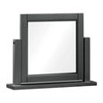Wilmont Dressing Mirror - Black Painted