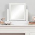 Paisley Dressing Mirror - White Painted