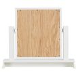 Paisley Dressing Mirror - White Painted