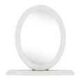 Montreux Vanity Mirror - Soft Grey