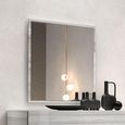 Mia Wall Mirror - 101cm - Grey