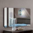 Elite Wall Mirror - 124cm x 70cm - Silver Birch