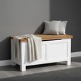 Lundy Blanket Box - White Painted