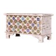 Awendaw Storage Trunk - Mango Wood - White Washed