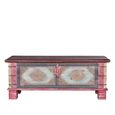 Dambach Storage Trunk - Pink - Mango Wood
