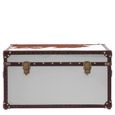 Kensington Townhouse Storage Trunk - Brown and White Leather