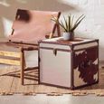 Kensington Townhouse Storage Trunk - Set of 2 - Brown and White Leather