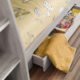 Orion Bunk Bed - Grey Oak
