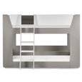 Parsec Bunk Bed - Taupe