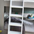 Parsec Bunk Bed - Taupe