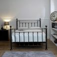 Lane Black Chrome Metal Bed - Sizes Available