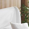 Eden Bed - White Fabric - Sizes Available