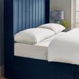 Leila Bed - Royal Blue Fabric - Sizes Available