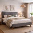 Albany Bed - Dark Grey Fabric - Sizes Available