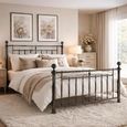 Alexander Bed - Black Nickel Metal - Sizes Available