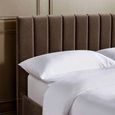 Aylen Bed - Chocolate Brown Velvet - Fabric - Sizes Available