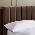Aylen Ottoman Storage Bed - Chocolate Brown Velvet - Fabric - Sizes Available