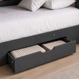 Orion Bunk Bed - 1 Drawer - Anthracite - Wood