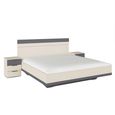 Rauch Sajo 5ft King Size Bed with 2 Bedside Cabinet - Champagne and Metallic Dark Grey