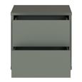 Alice Springs Bedside Cabinet - 2 Drawer - Low - Sage Green