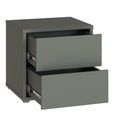 Alice Springs Bedside Cabinet - 2 Drawer - Low - Sage Green