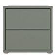 Alice Springs Bedside Cabinet - 2 Drawer - Low - Sage Green