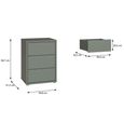 Alice Springs Bedside Cabinet - 3 Drawer - Sage Green