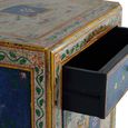 Bruci Bedside Cabinet - Mango Wood - Painted - 1 Door