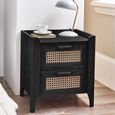 Sydney Bedside Cabinet - 2 Drawer - Black and Faux Rattan