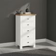 Lundy Narrow Chest - 5 Drawer - White Painted