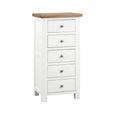 Lundy Narrow Chest - 5 Drawer - White Painted