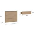 Alice Springs Chest - 3 Drawer - Elegancia Oak