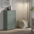 Alice Springs Chest - 4 Drawer - Tall - Sage Green