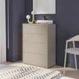 Alice Springs Chest - 4 Drawer - Wide - Taupe