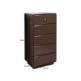 Lizzie Chest - 5 Drawer - Chestnut