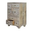Dolap Chest - Mango Wood - Painted - Multi Drawer