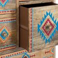 Ergani Chest - Mango Wood - Painted - Multi Drawer