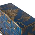 Matera Chest - Blue Painted - Mango Wood - Multi Drawer
