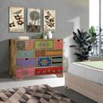 Nazlini Cabinet - Mango Wood - Painted - Multi Drawer - Wide