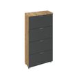 Rauch Aditio 4 Drawer Narrow Chest - Artisan Oak and Metallic Dark Grey