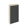 Rauch Aditio 4 Drawer Narrow Chest - Champagne and Metallic Dark Grey