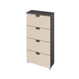 Rauch Aditio 4 Drawer Narrow Chest - Metallic Dark Grey and Champagne