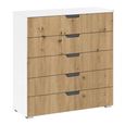 Aditio Wide Chest - 5 Drawer - Alpine White & Artisan Oak