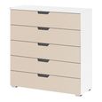 Aditio Wide Chest - 5 Drawer - Alpine White & Champagne