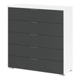 Aditio Wide Chest - 5 Drawer - Alpine White & Metallic Dark Grey
