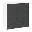 Aditio Wide Chest - 5 Drawer - Alpine White & Metallic Dark Grey