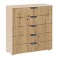 Aditio Wide Chest - 5 Drawer - Champagne & Artisan Oak