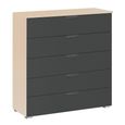 Aditio Wide Chest - 5 Drawer - Champagne & Metallic Dark Grey